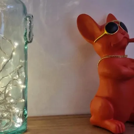 Boudu L'appart ! Le Charme Unique En Hyper Centre