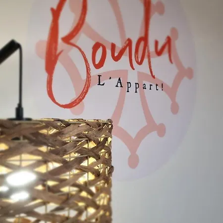 Boudu L'appart ! Le Charme Unique En Hyper Centre * Montauban