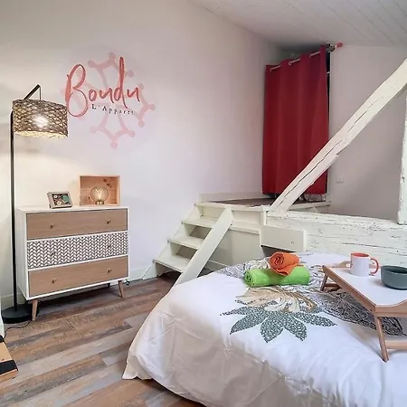 Apartment Boudu L'appart ! Le Charme Unique En Hyper Centre