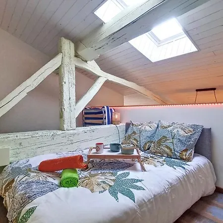 Apartamento Boudu L'appart ! Le Charme Unique En Hyper Centre *