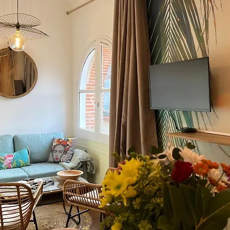 Boudu L'appart ! Le Charme Unique En Hyper Centre Montauban